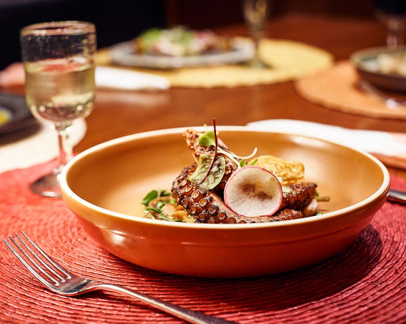 Gastronomic Experience | Hotel Xcaret Arte